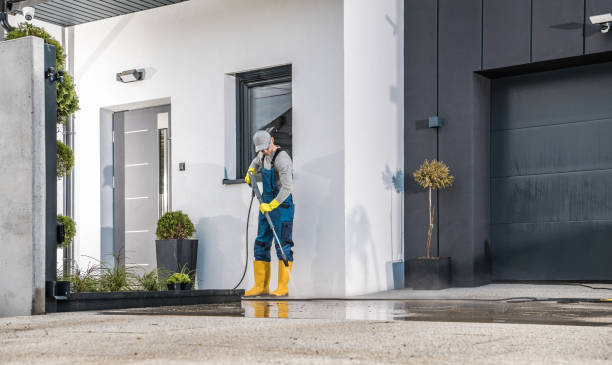 Best Soft Washing  in Quartz Hill, CA